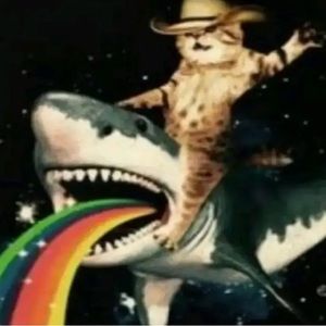 Meet your Posher, Edwin